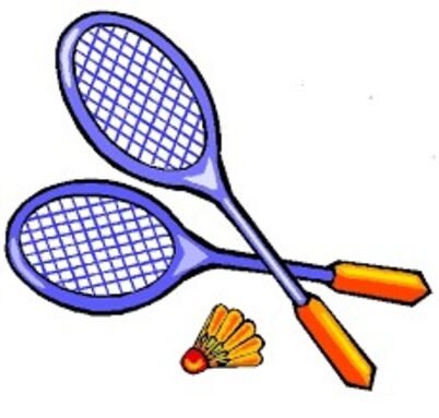 logo raquettes badminton.jpg