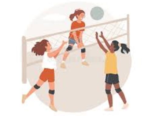 images volley-ball.jpg